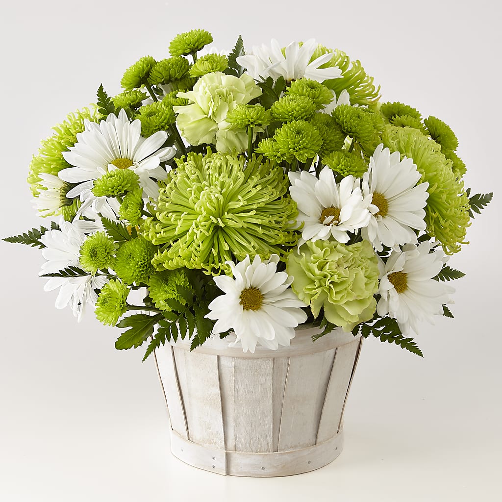 Lucky Charm Basket (Standard) – Henderson Florist, Lebanon TN