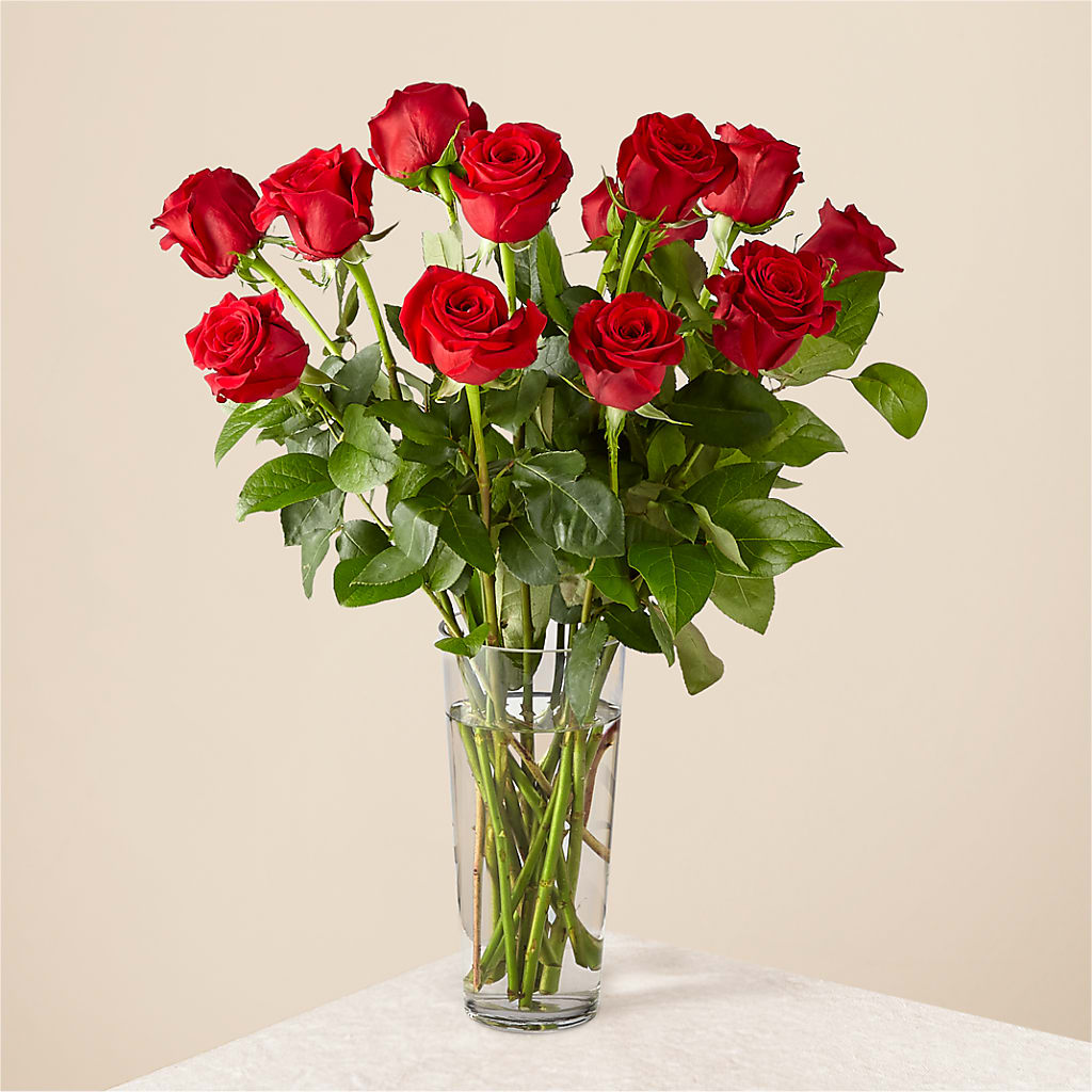 Long Stem Red Rose Bouquet – Henderson Florist, Lebanon TN