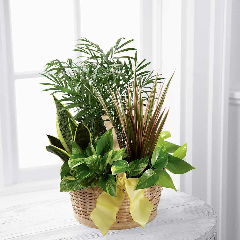 French Garden – Henderson Florist, Lebanon TN
