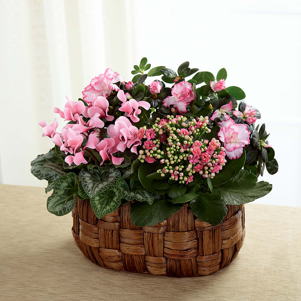 Pink Assortment – Henderson Florist, Lebanon TN