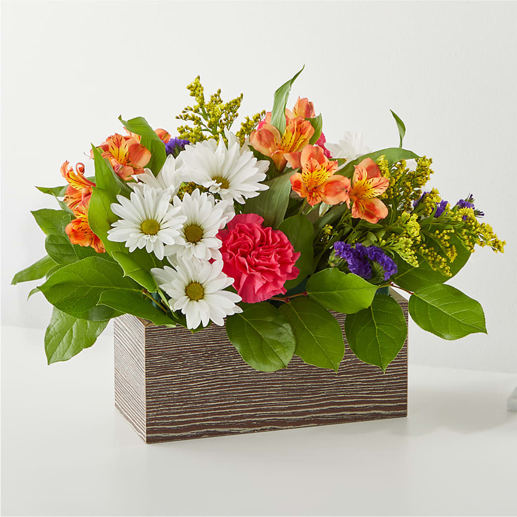 Oopsie Daisy Box Bouquet – Henderson Florist, Lebanon TN