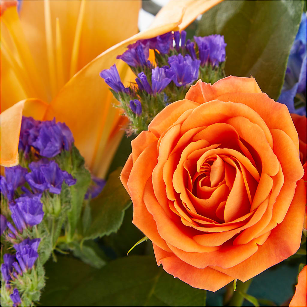 Radiant Citrus Box Bouquet – Henderson Florist, Lebanon TN