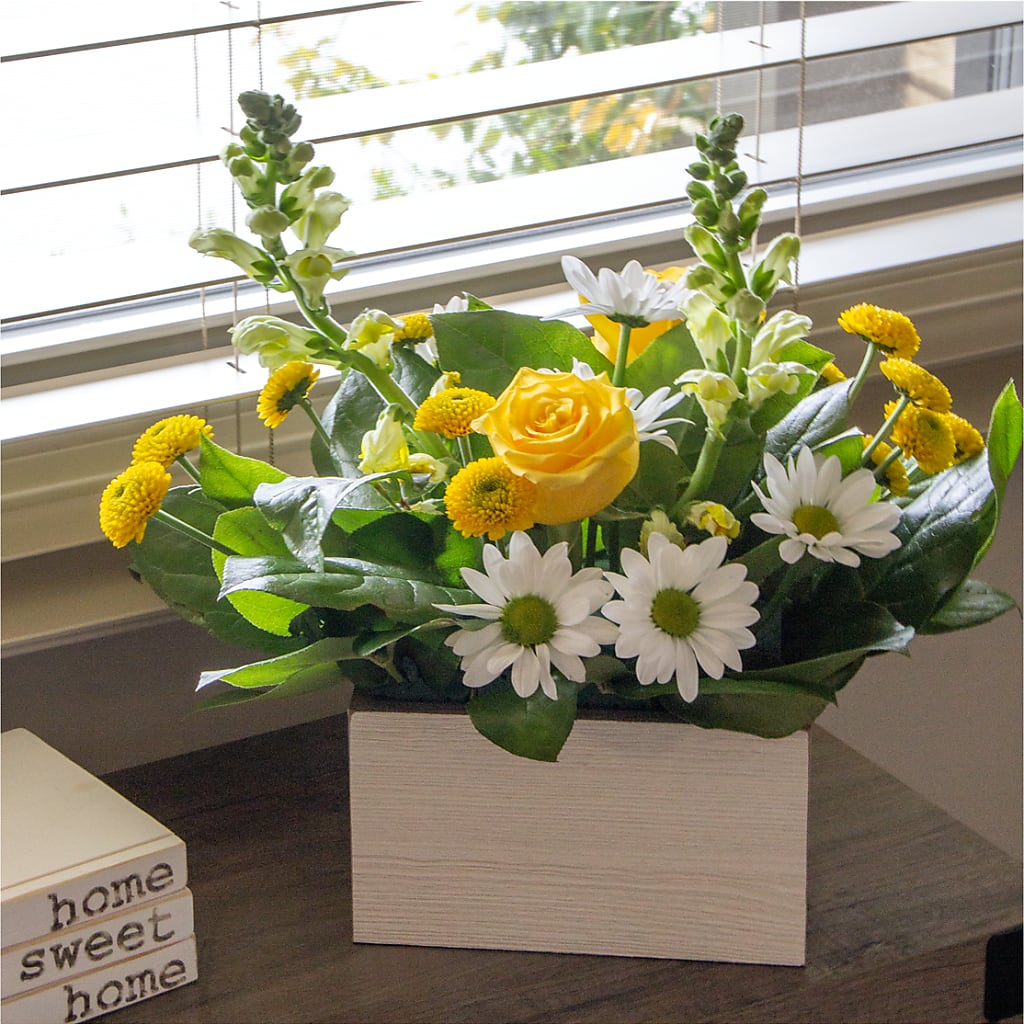Sun Salutation Box Bouquet – Henderson Florist, Lebanon TN