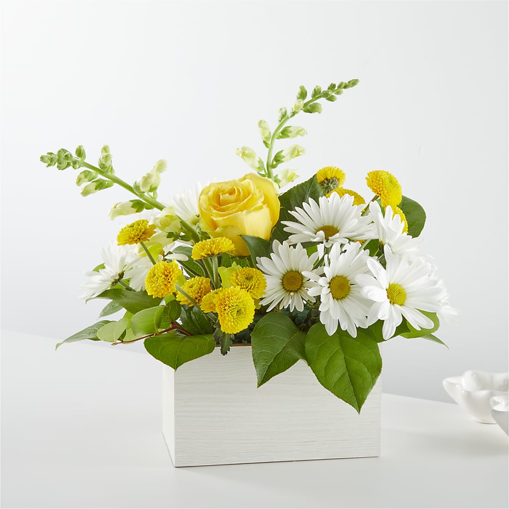 Sun Salutation Box Bouquet – Henderson Florist, Lebanon TN