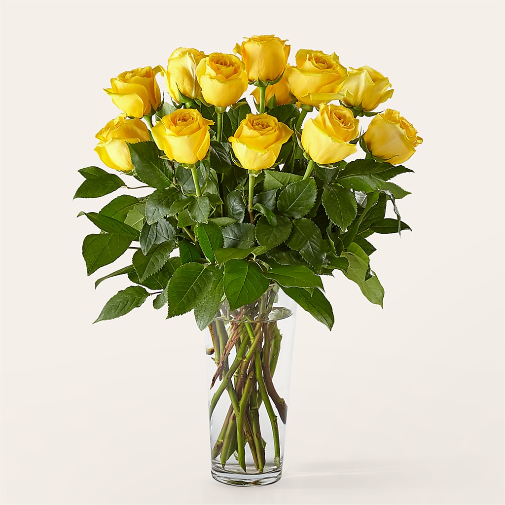 Long Stem Yellow Rose Bouquet – Henderson Florist, Lebanon TN