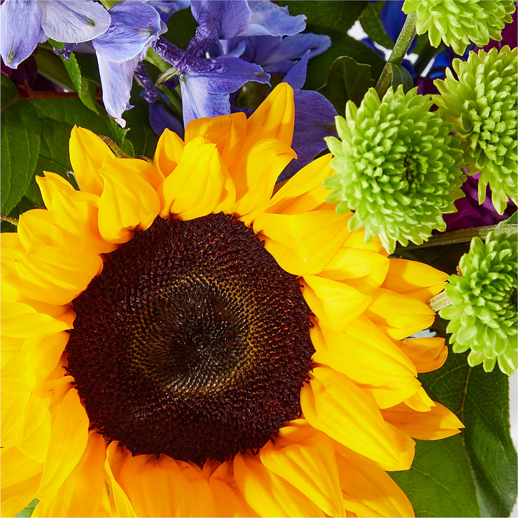 Catching Rays Bouquet – Henderson Florist, Lebanon TN