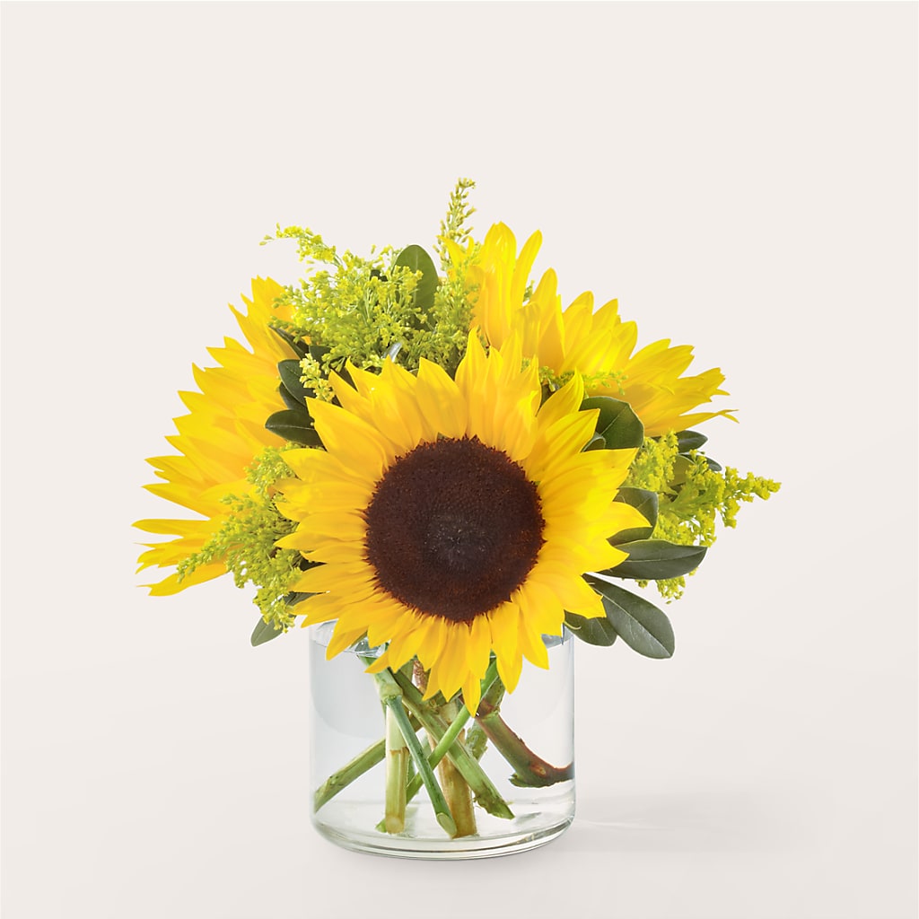 Beaming Sunflower Bouquet – Henderson Florist, Lebanon TN