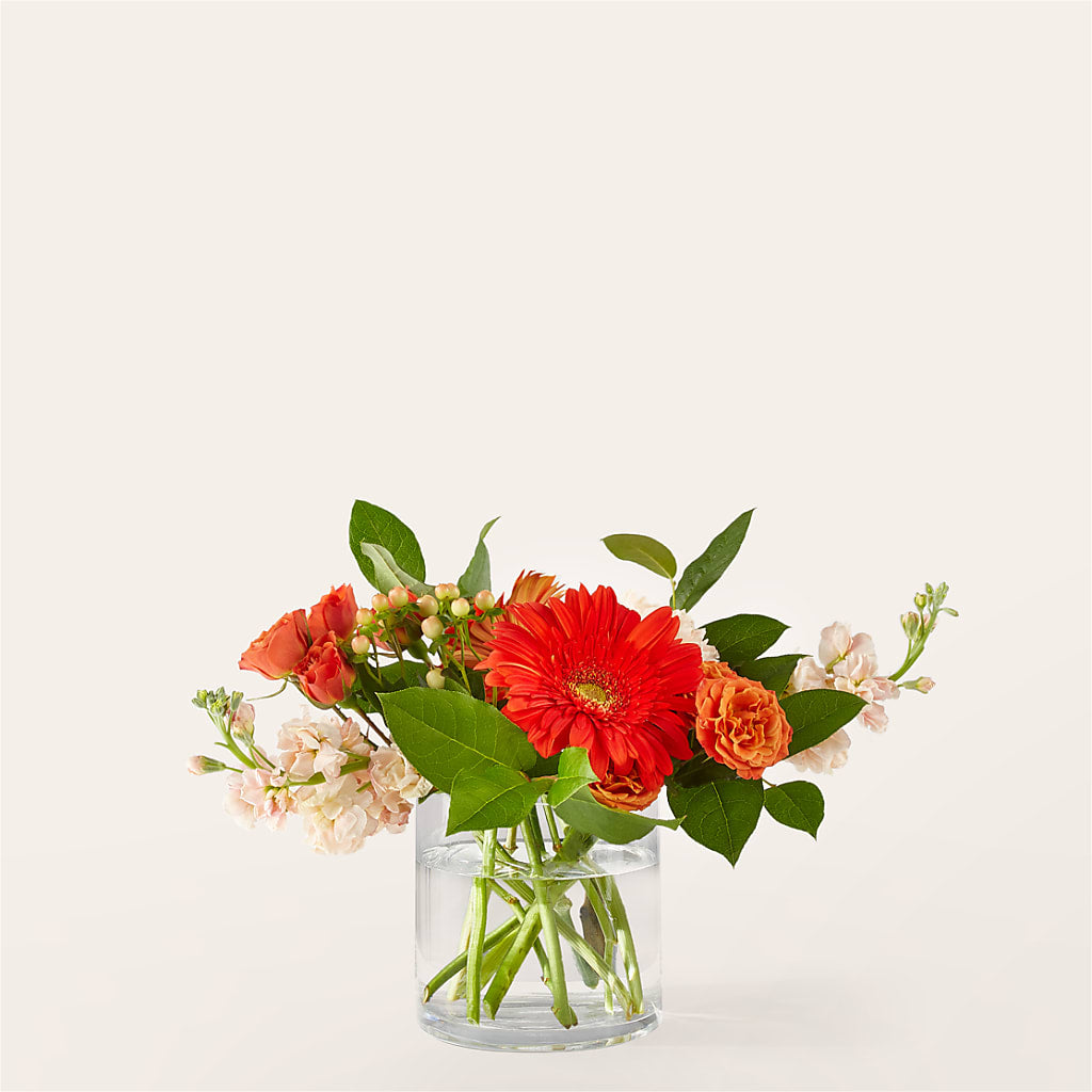 Paloma Please Bouquet – Henderson Florist, Lebanon TN