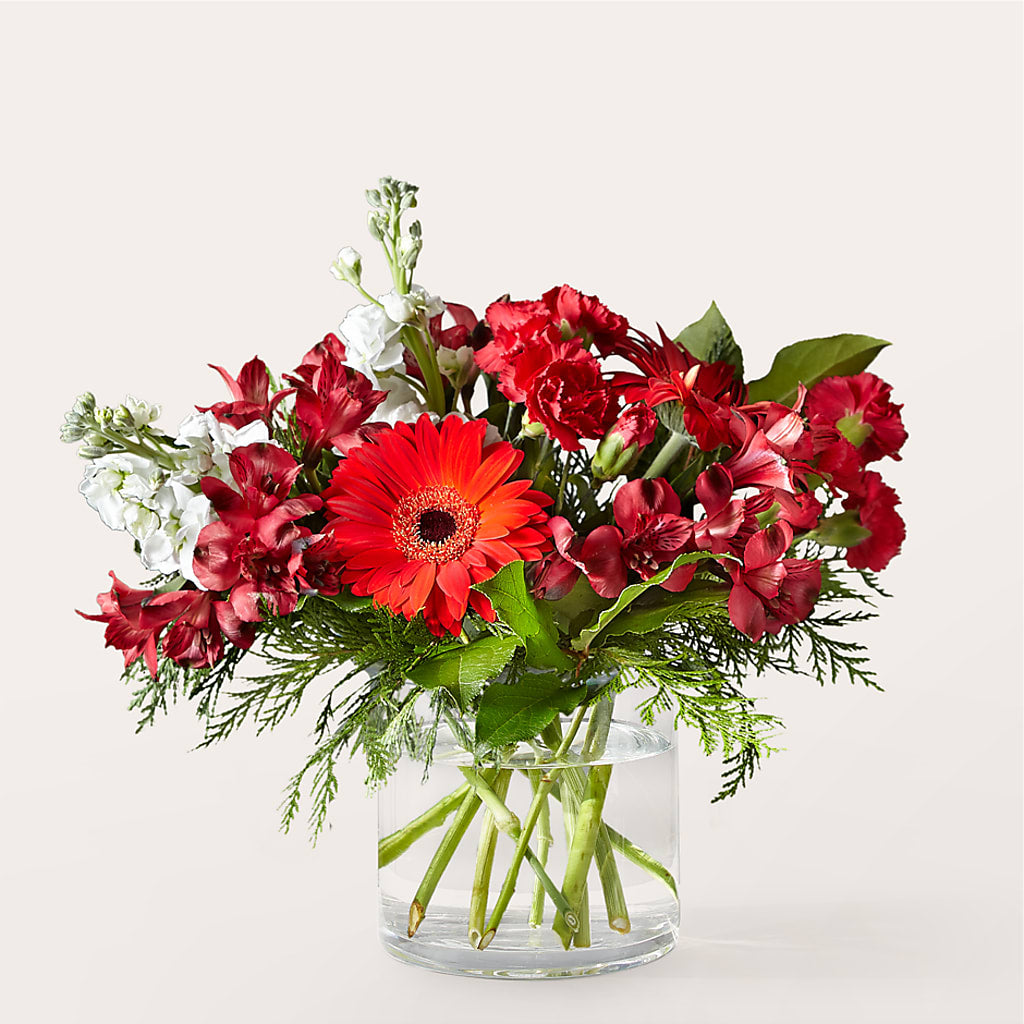 Holidaisy Bouquet – Henderson Florist, Lebanon TN