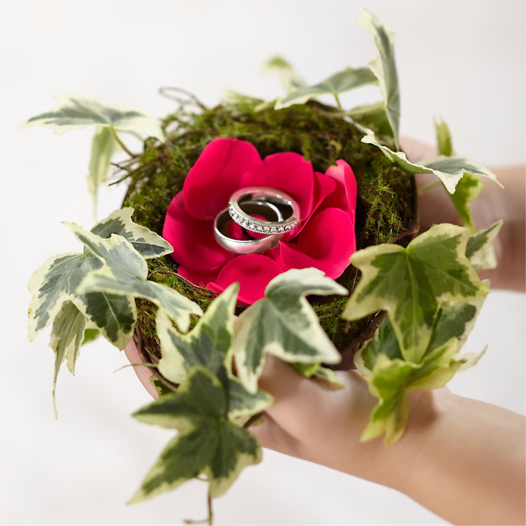 Lila Rose Ring Nest – Henderson Florist, Lebanon TN