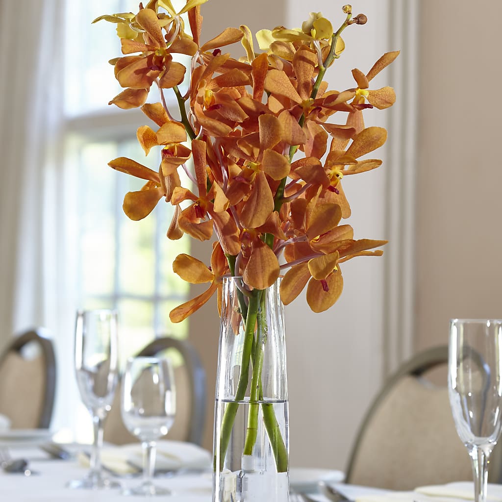 Orange Mokara Bud Vase – Henderson Florist, Lebanon TN