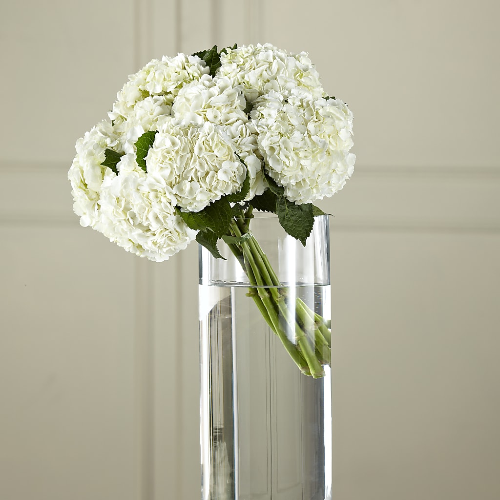 White Hydrangea Hand-Tied Bouquet – Henderson Florist, Lebanon TN