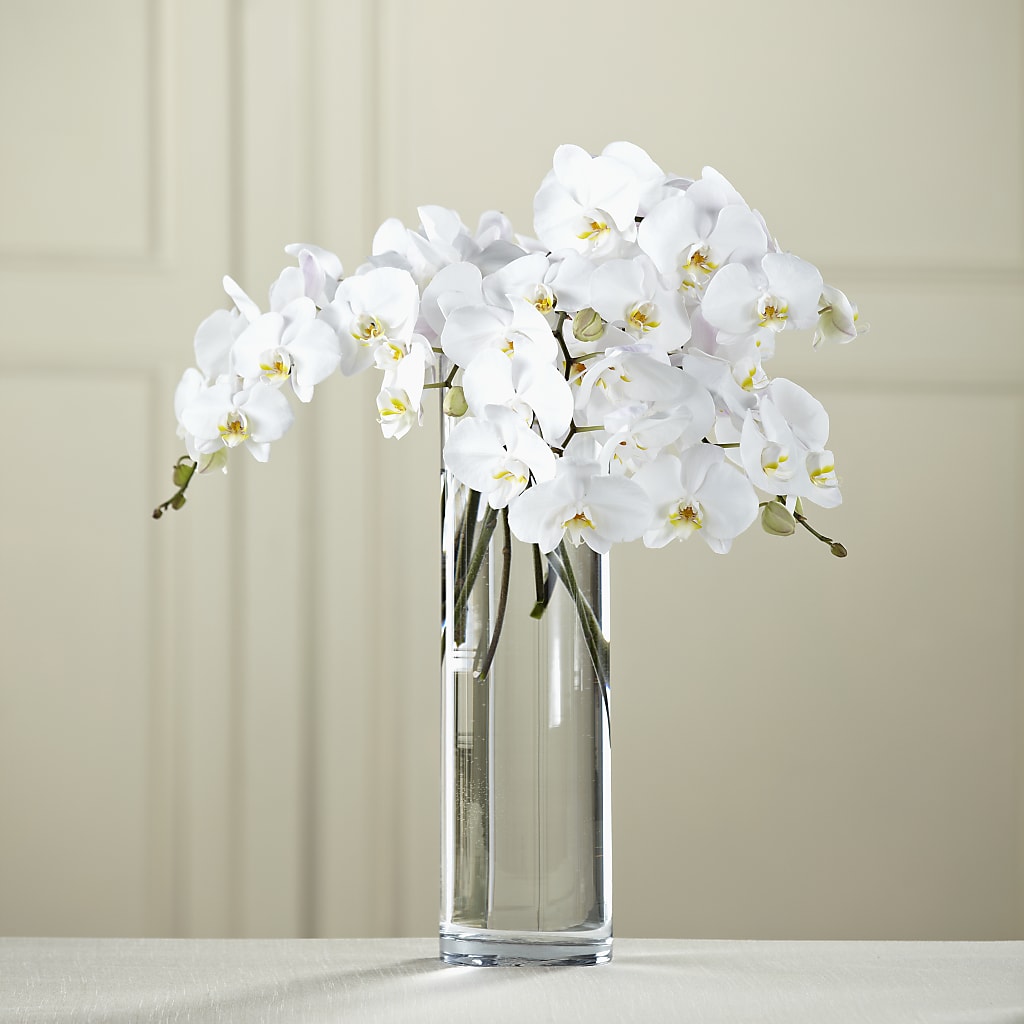 White Phalaenopsis Bouquet – Henderson Florist, Lebanon TN