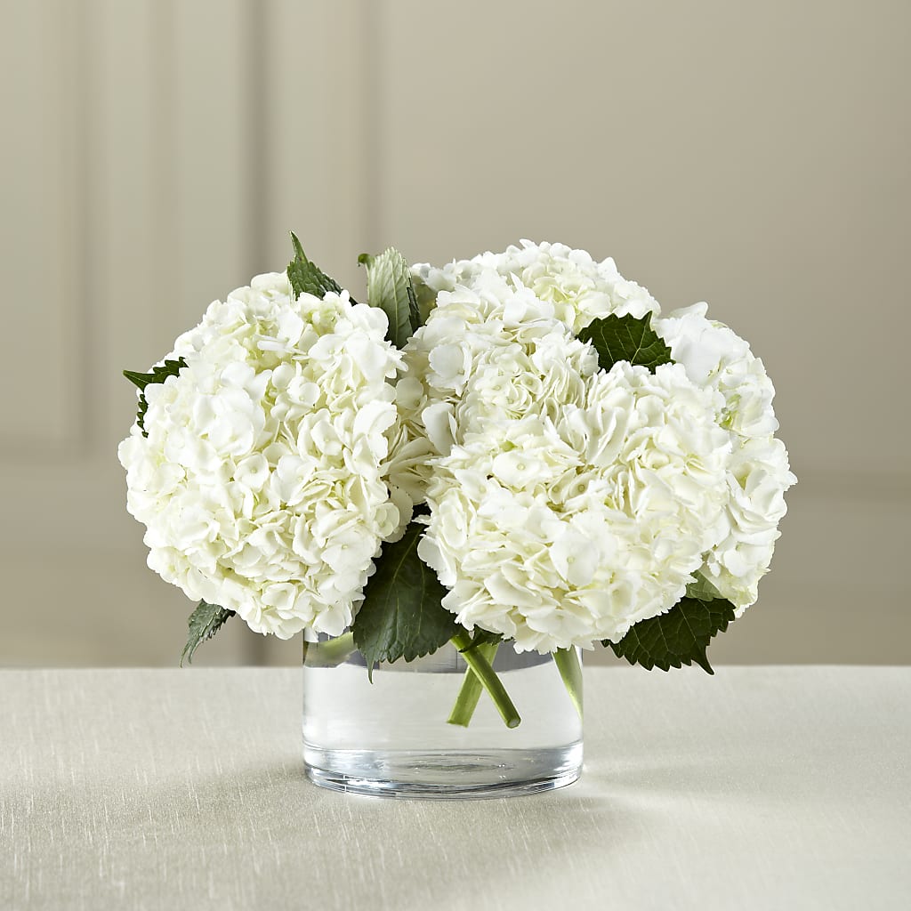 White Hydrangea Bouquet – Henderson Florist, Lebanon TN