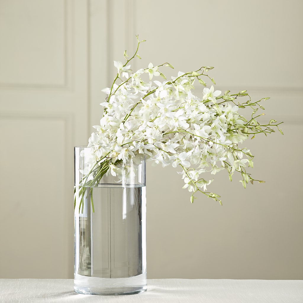 White Dendrobium Bouquet – Henderson Florist, Lebanon TN