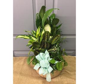 014 –  Henderson Florist, Lebanon TN