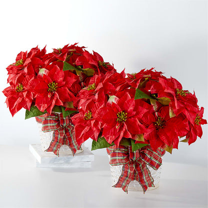 Happiest Holidays Poinsettia Bundle –  Henderson Florist, Lebanon TN