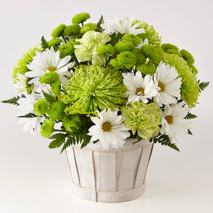 Lucky Charm Basket (Standard) –  Henderson Florist, Lebanon TN