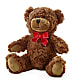 Adorable Plush Bear –  Henderson Florist, Lebanon TN