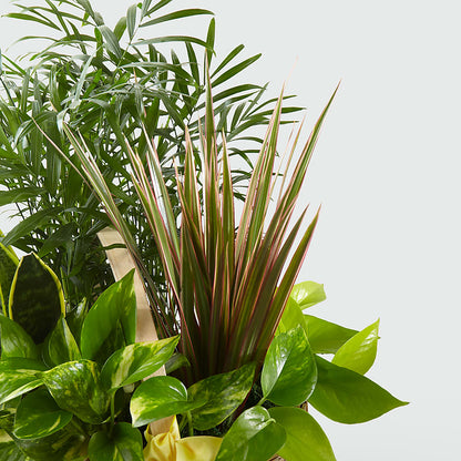 French Garden –  Henderson Florist, Lebanon TN