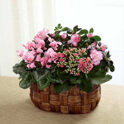 Pink Assortment –  Henderson Florist, Lebanon TN