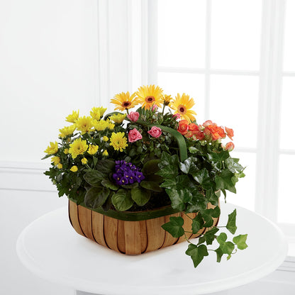 Gentle Blossoms Basket –  Henderson Florist, Lebanon TN