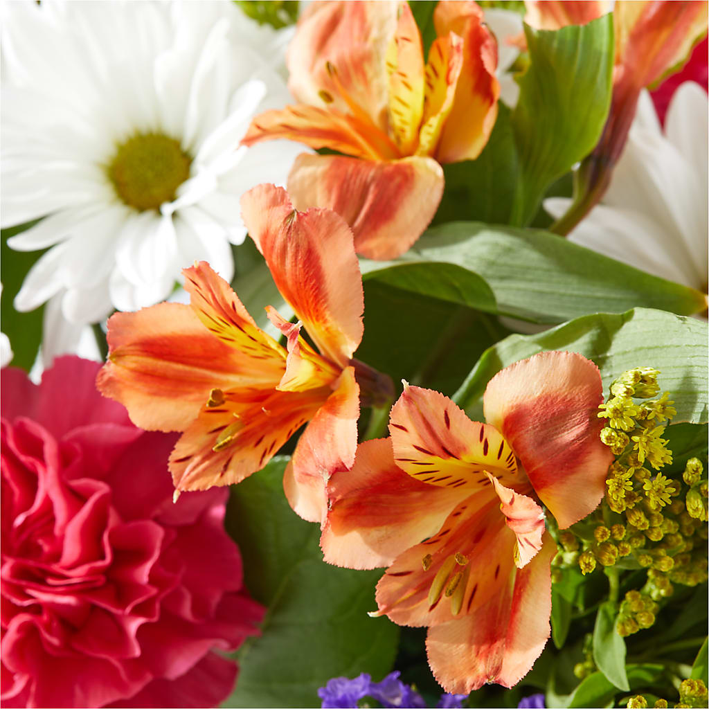 Oopsie Daisy Box Bouquet –  Henderson Florist, Lebanon TN