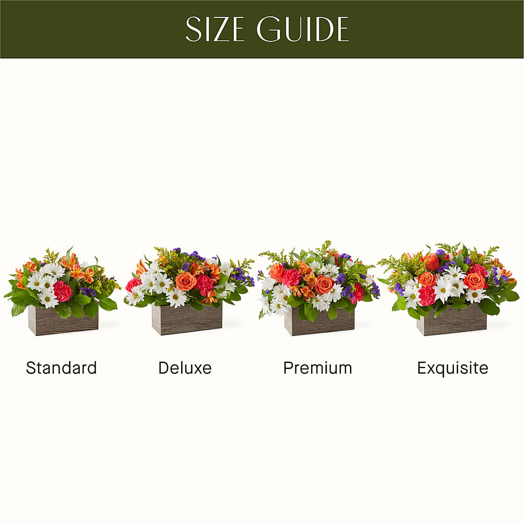 Oopsie Daisy Box Bouquet –  Henderson Florist, Lebanon TN