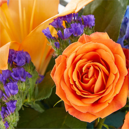 Radiant Citrus Box Bouquet –  Henderson Florist, Lebanon TN