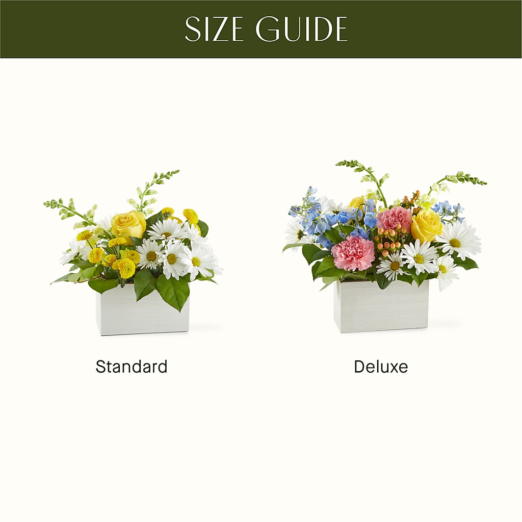 Sun Salutation Box Bouquet –  Henderson Florist, Lebanon TN