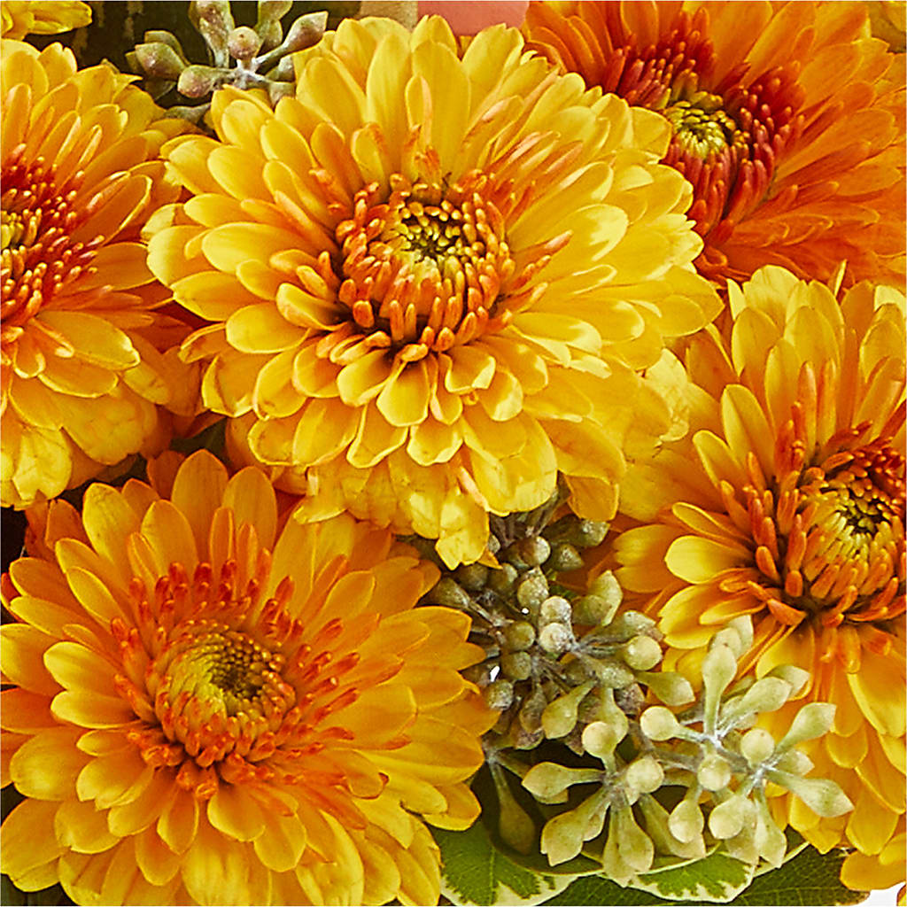 Peachy Pumpkin –  Henderson Florist, Lebanon TN
