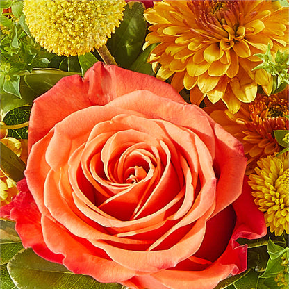 Gourdgeous Pumpkin –  Henderson Florist, Lebanon TN