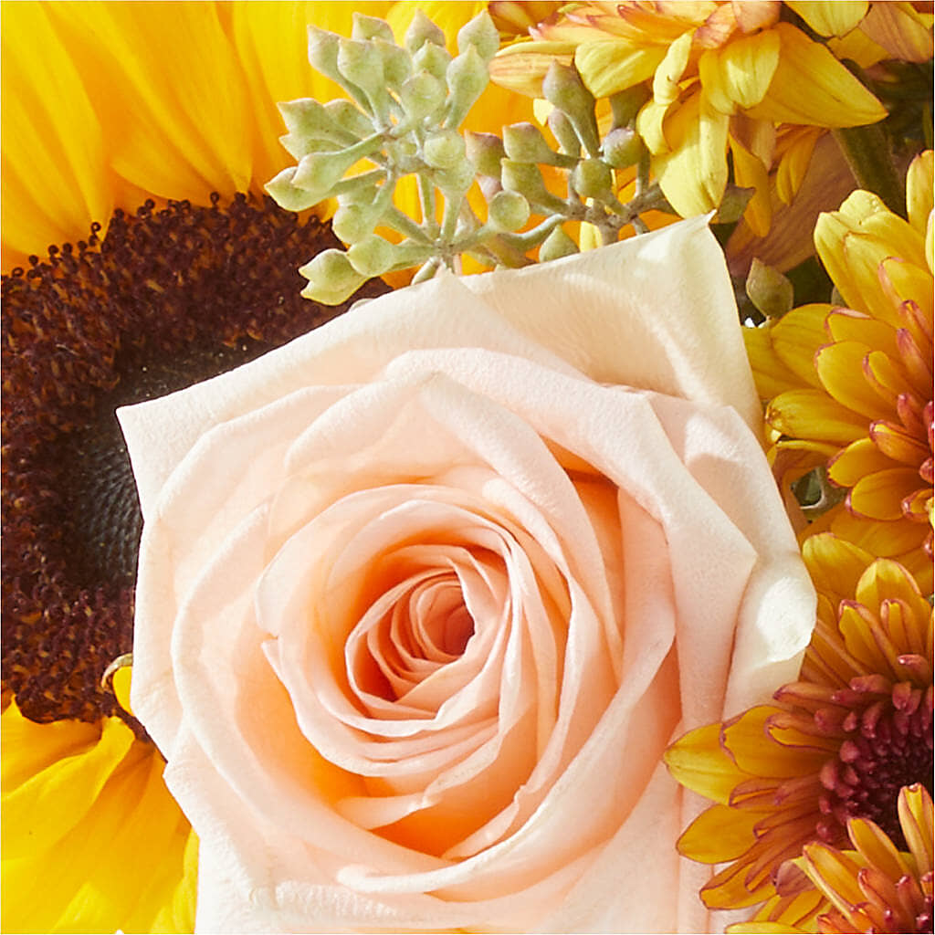 Pumpkin to Talk About Bouquet –  Henderson Florist, Lebanon TN