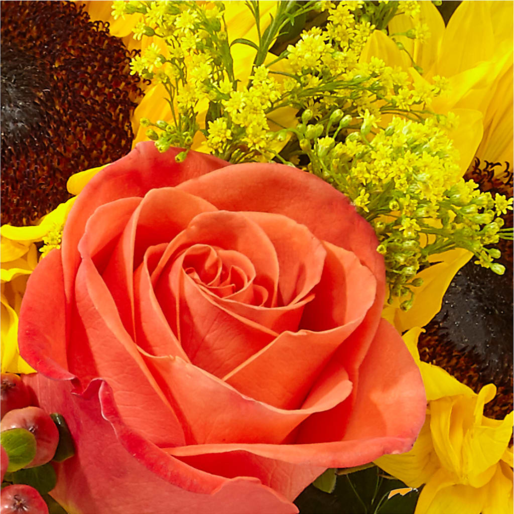 Pick of the Patch Pumpkin Bouquet –  Henderson Florist, Lebanon TN