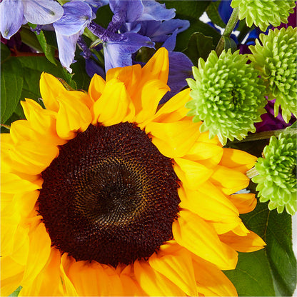 Catching Rays Bouquet –  Henderson Florist, Lebanon TN