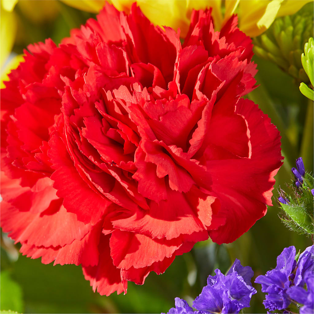 Brighter Days Bouquet –  Henderson Florist, Lebanon TN