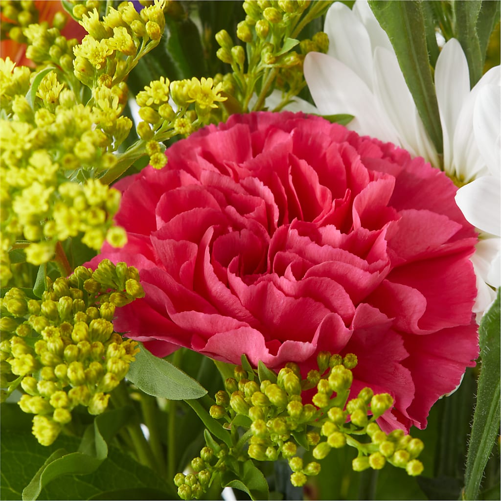 Oopsie Daisy Bouquet –  Henderson Florist, Lebanon TN