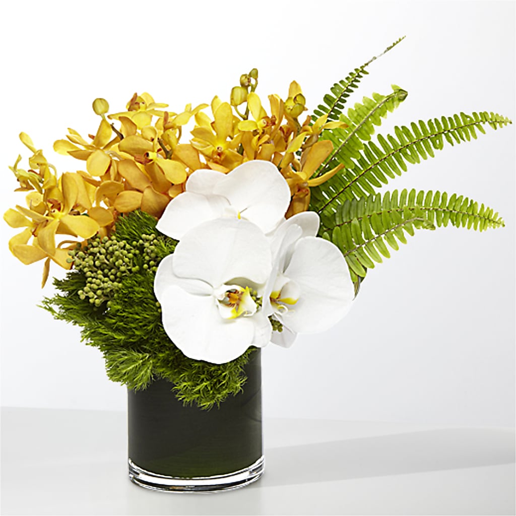 The Tropics –  Henderson Florist, Lebanon TN