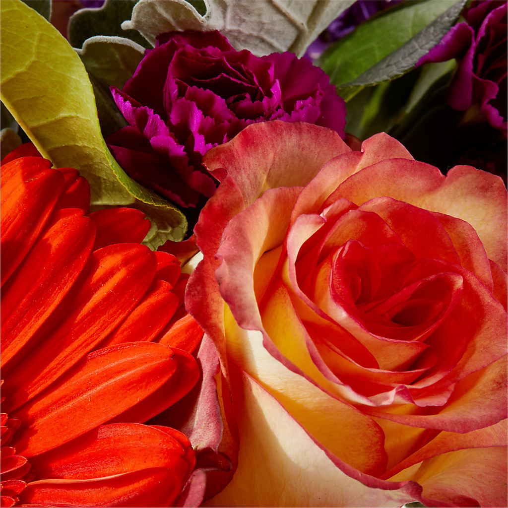 Sangria Bouquet –  Henderson Florist, Lebanon TN
