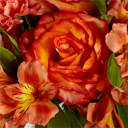 Apricot Glow Bouquet –  Henderson Florist, Lebanon TN
