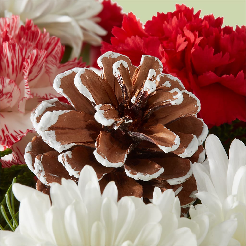 Candy Cane Lane Bouquet –  Henderson Florist, Lebanon TN