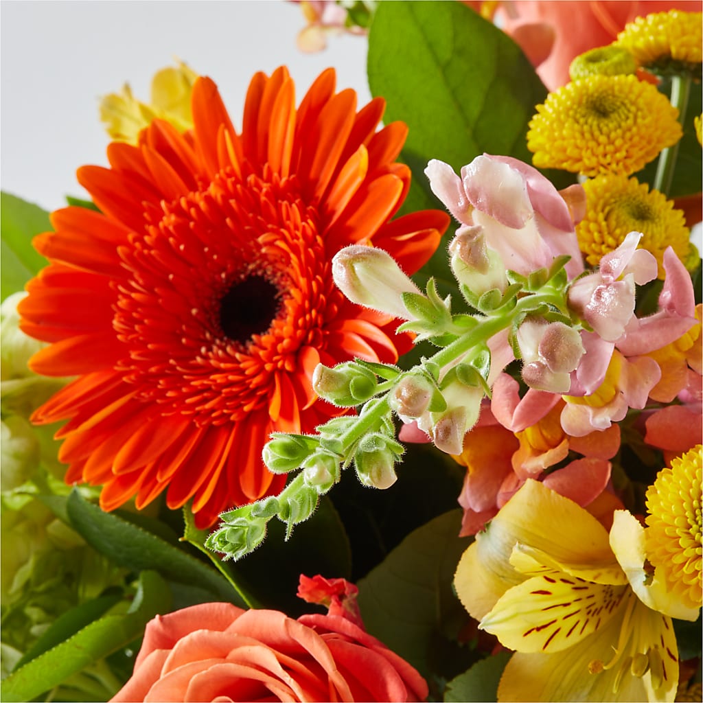 Autumn Sunshine Bouquet –  Henderson Florist, Lebanon TN