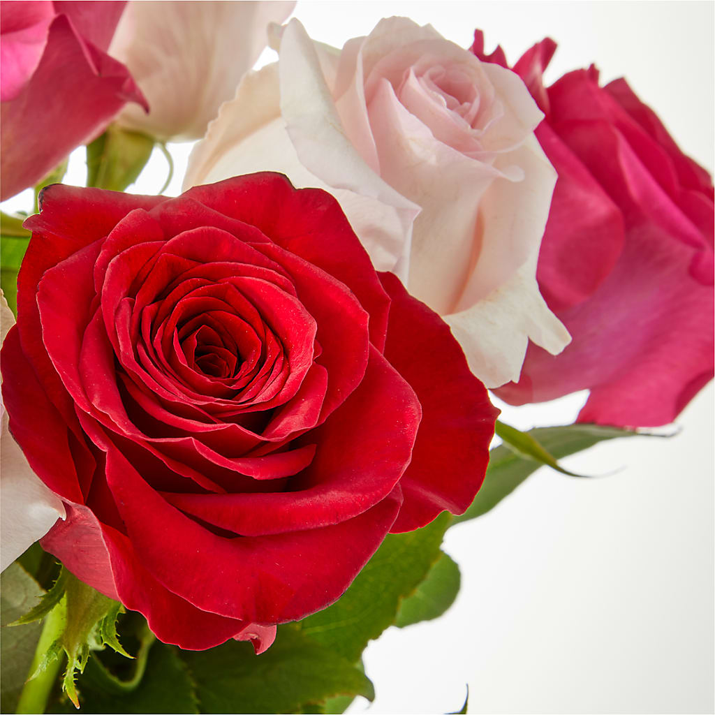Charming Rose Bouquet –  Henderson Florist, Lebanon TN