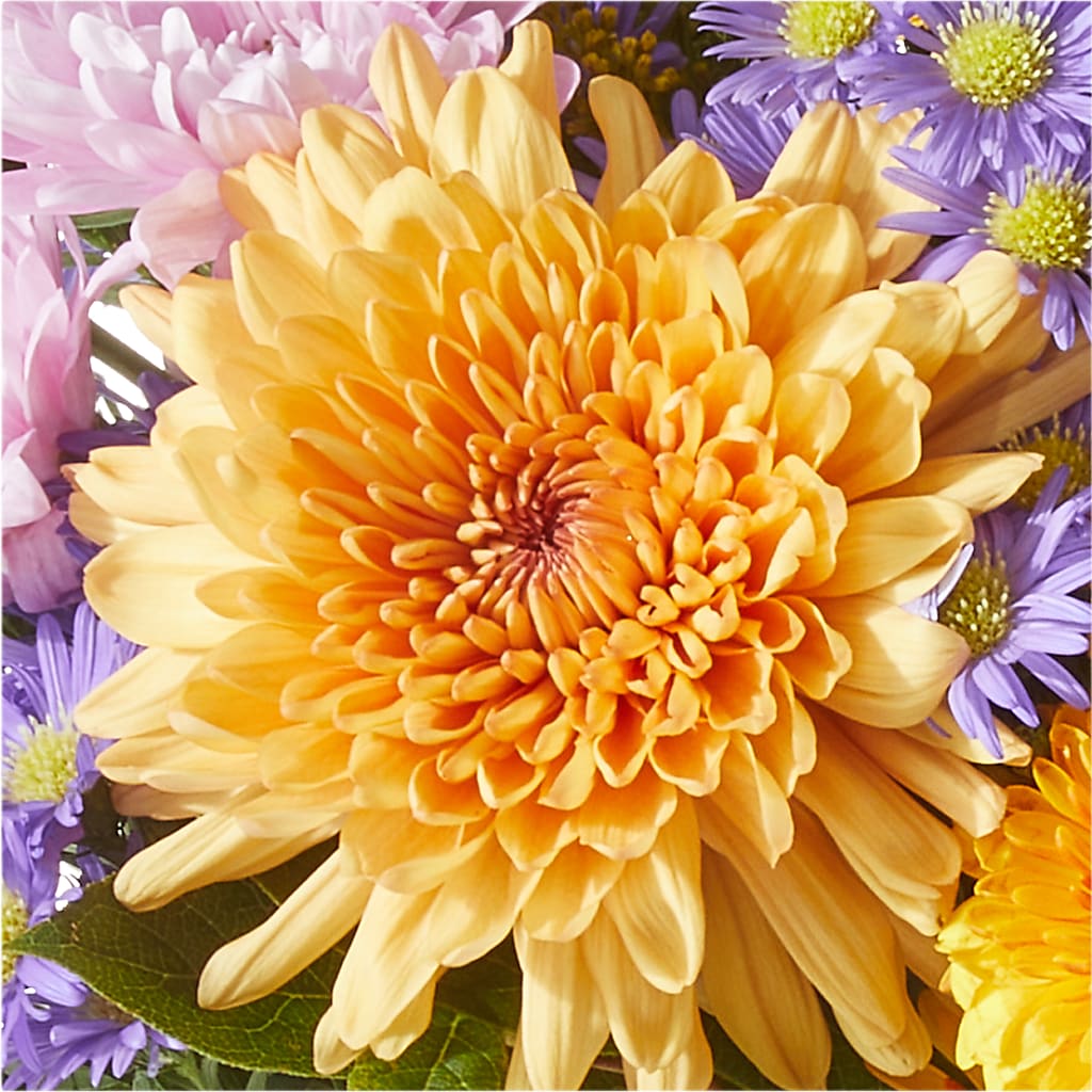 Countryside Bouquet –  Henderson Florist, Lebanon TN
