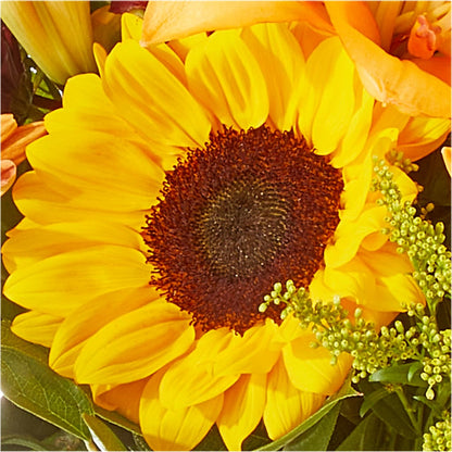 Seasons Change Bouquet –  Henderson Florist, Lebanon TN