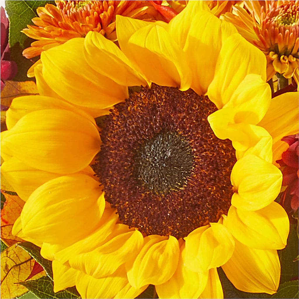 Sunny Side Bouquet –  Henderson Florist, Lebanon TN