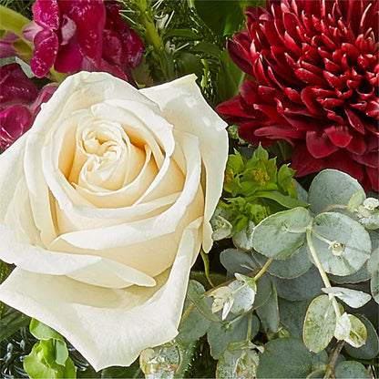 Cranberry Fizz Bouquet –  Henderson Florist, Lebanon TN