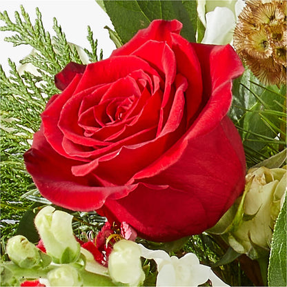 Deck the Halls Bouquet –  Henderson Florist, Lebanon TN
