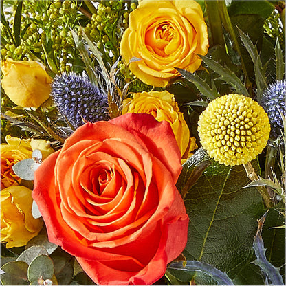Disco Bouquet –  Henderson Florist, Lebanon TN