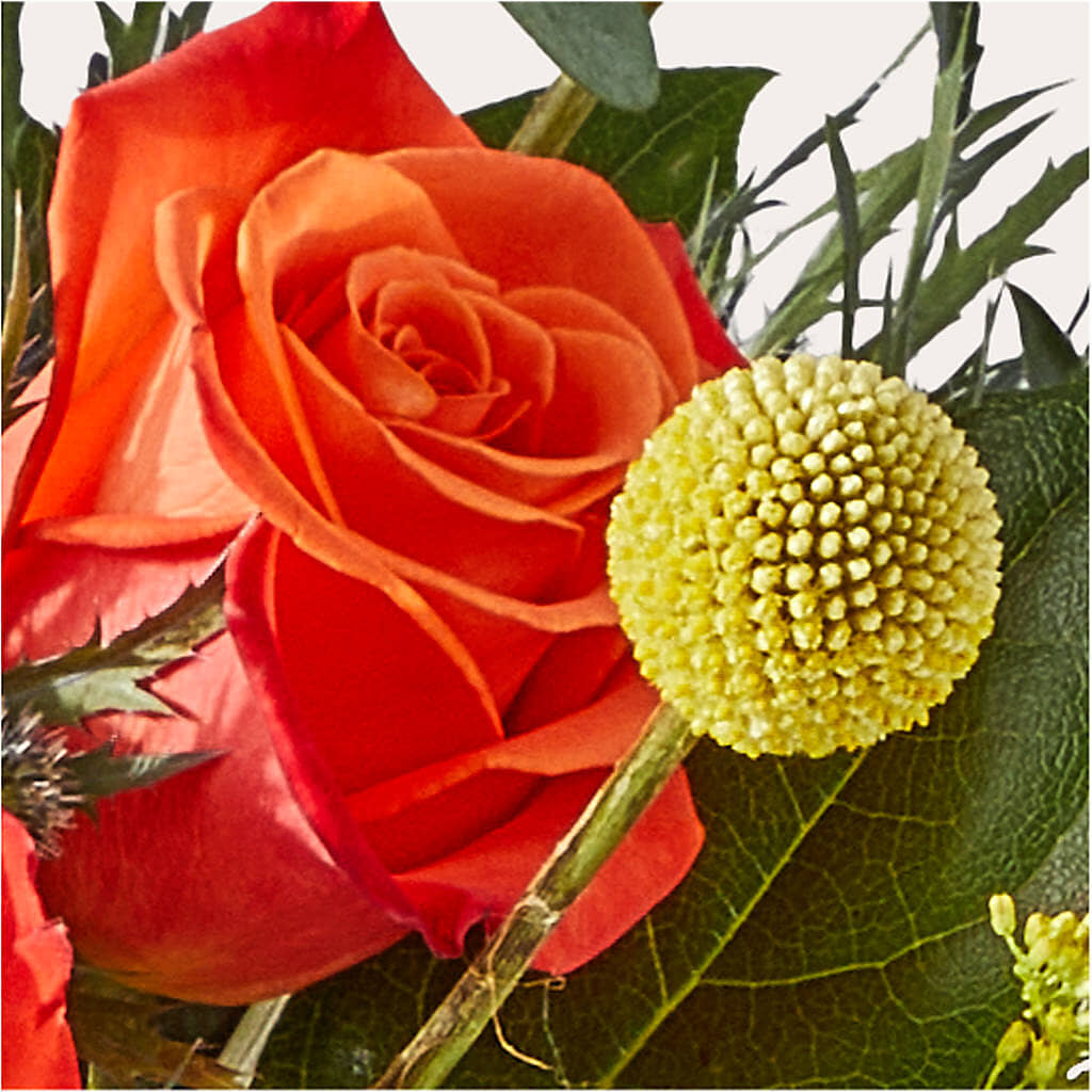 Disco Bouquet –  Henderson Florist, Lebanon TN